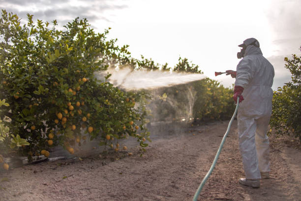 Best Ant Control Services  in Lawton, MI