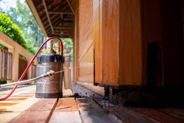 Best Cockroach Control Services  in Lawton, MI