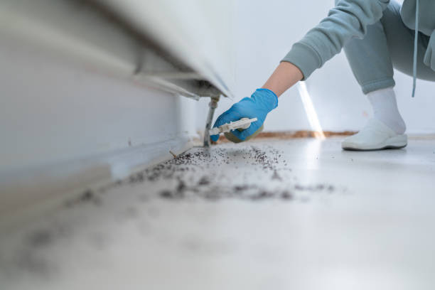 Best Affordable Exterminators  in Lawton, MI