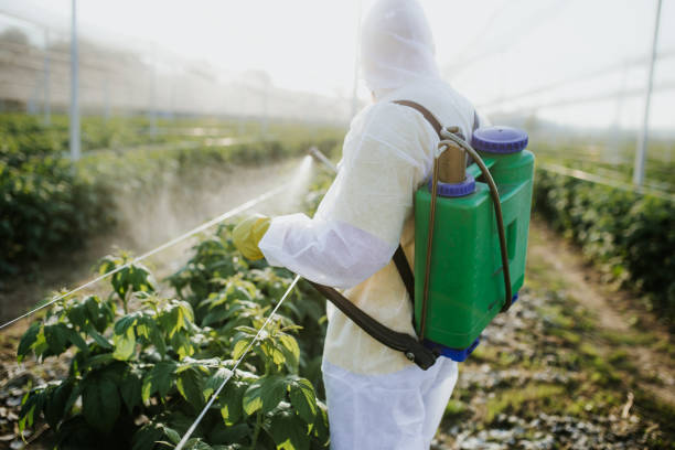 Best Exterminator Services  in Lawton, MI